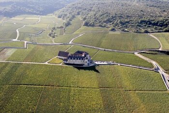 Flot vinslot og grønne vinmarker fra Maison Joseph Drouhin i Frankrig