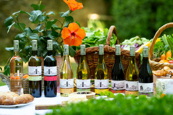 Billede af de forskellige vine fra Famille Fabre fra Frankrig