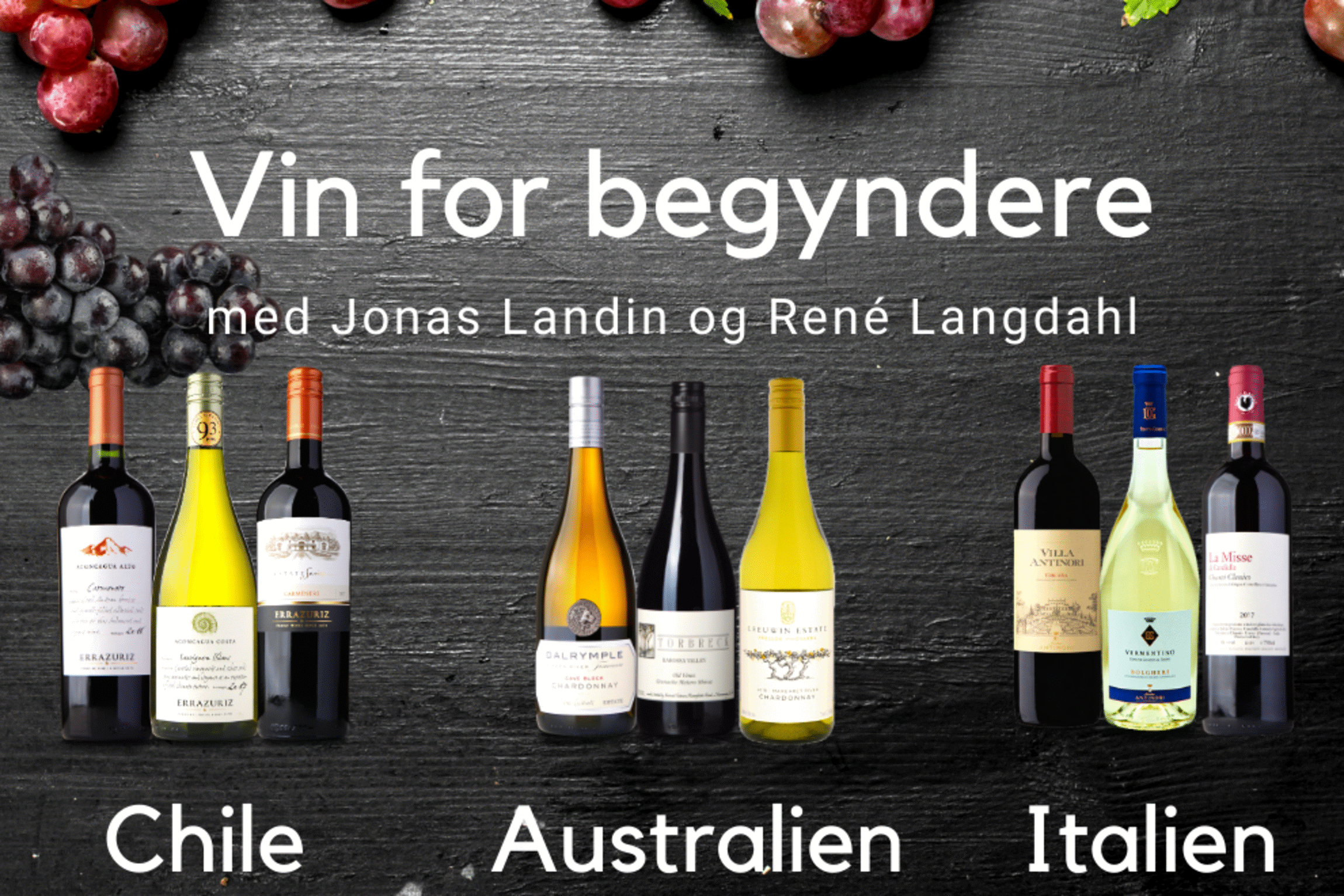 Vin for Begyndere, podcast, Jonas Landin, René Langdahl 