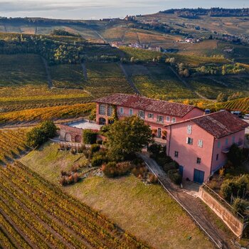 Billede af et vinhus og grønne vinmarker fra Italien