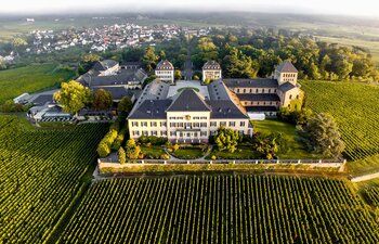 Billede af Schloss Johannisberg vinslot omringet af deres vinmarker
