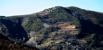 Flot vinmark på bakkeside fra Alvaro Palacios i Spanien