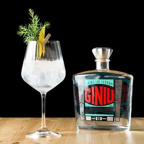 Gin & Tonic Cocktail