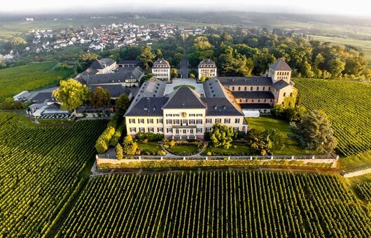 Billede af Schloss Johannisberg vinslot omringet af deres vinmarker