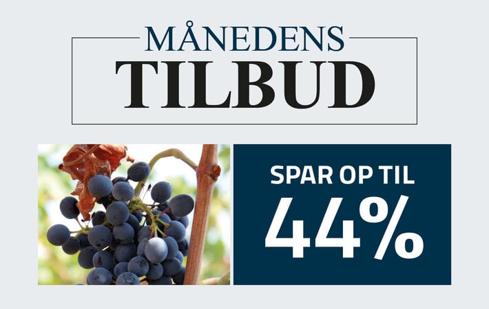 MÅNEDEDNS TILBUD - NOVEMBER 24