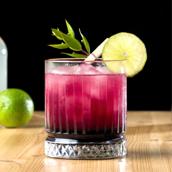 Mirto Sour Cocktail