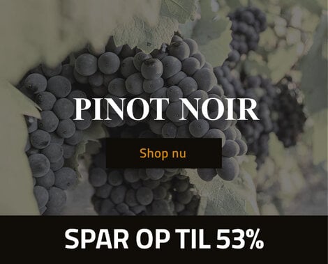 Pinot noir 