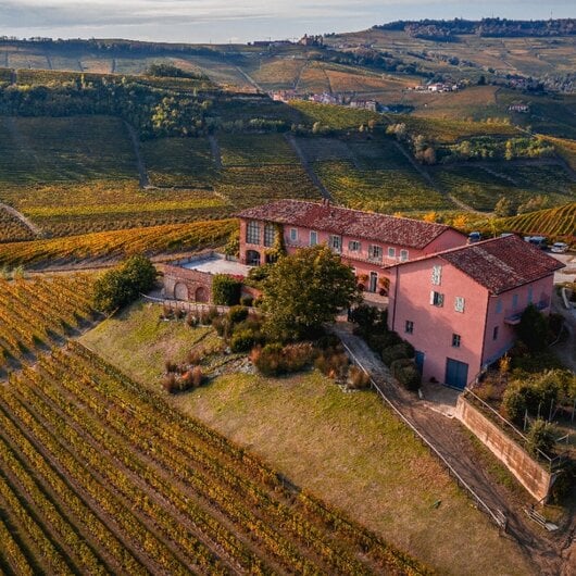 Billede af et vinhus og grønne vinmarker fra Italien