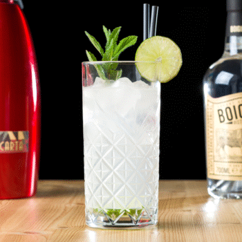 Boigin Fizz Cocktail