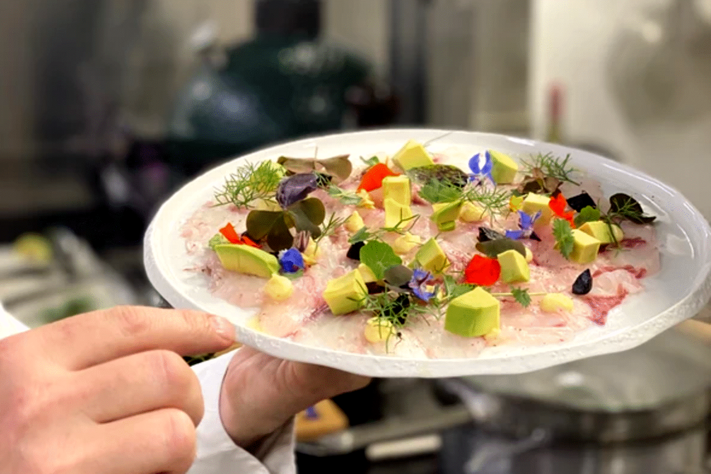 Laurent Chaberts Ceviche af havkat fra Ayrolle-dammen