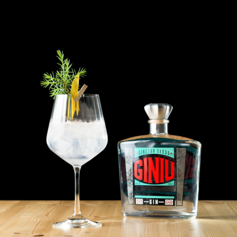 Gin & Tonic er en cocktail blandet med Silvio Cartas Giniu Gin, der er kendt for sin krydrede aroma af enebær og citronskal. Du får opskriften på Gin & Tonic og en video, der viser fremgangsmåden, lige her.

Glas: [https://www.hjhansen-vin.dk/gaver/gin-set-5414-67-1-stk-4-glas?rmd=1|Riedel Mixing Tonic]
Pynt: Krydderurt

[https://media-prod.hjhansen-vin.dk/download/link/138b2d54-9f3f-48b7-b592-58528671edd6|Download opskrift]