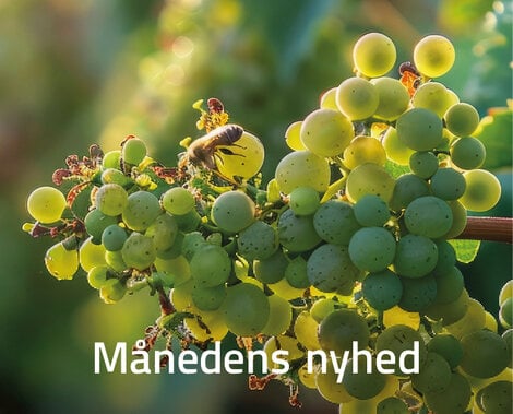 Månedens nyheder