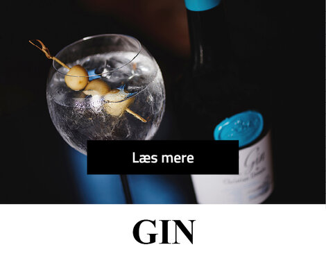 GIN