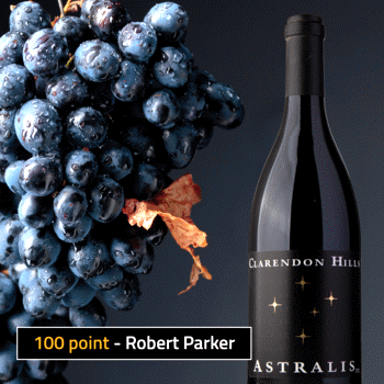 2010 Astralis Syrah
