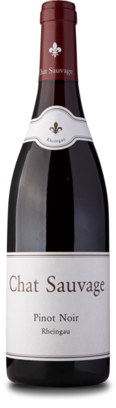 2019 Pinot Noir, Gutswein
