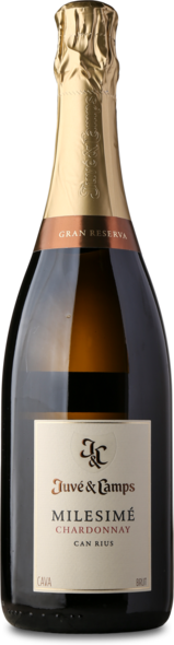 2018 Cava Milesimé Chardonnay  Organic