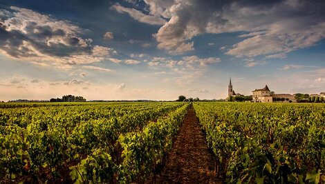 Jean-Pierre Moueix, bordeaux, rødvin, vinhus, Frankrig