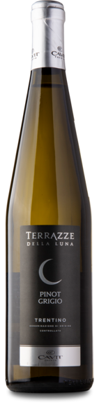 2024 Pinot Grigio Terrazze Della Luna, D.O.C., Terrazze Della Luna