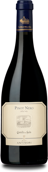2020 Pinot Nero Sala, IGT