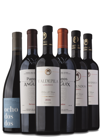Smagekasse Ribera del Duero