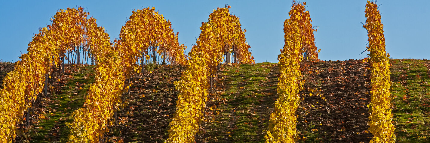 Nyetimber