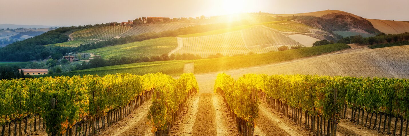 Vinmark i Italien