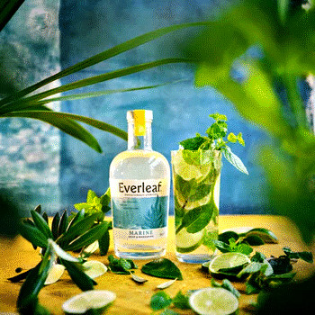 Mojito, alkoholfri drink, opskrift