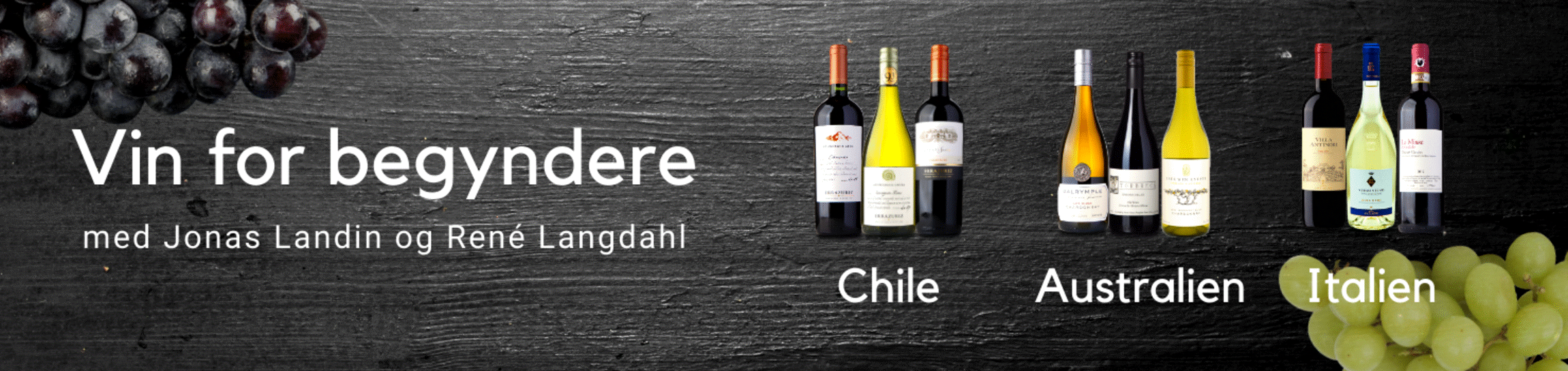 Vin for Begyndere, podcast, Jonas Landin, René Langdahl