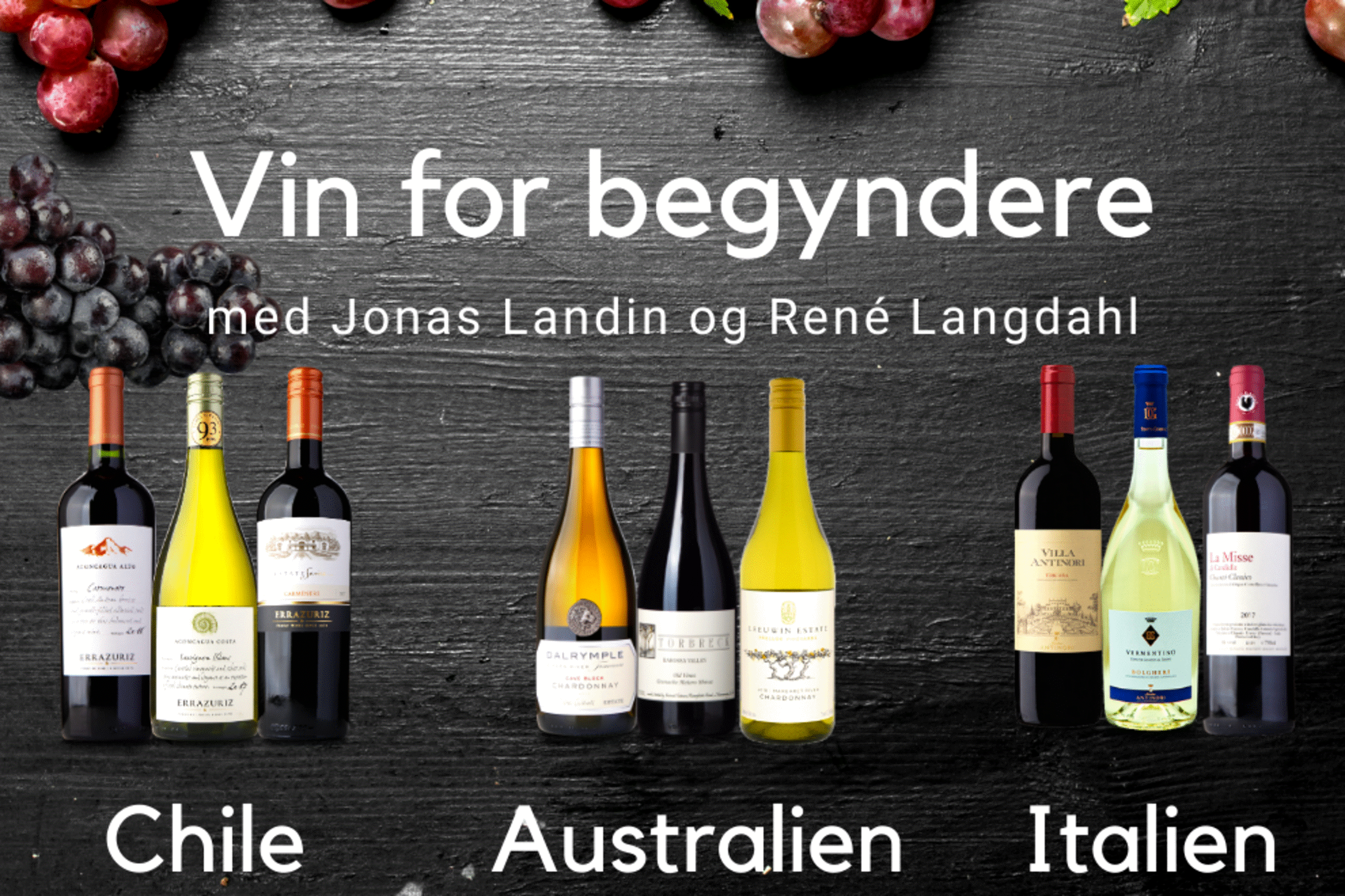 Vin for Begyndere, podcast, Jonas Landin, René Langdahl