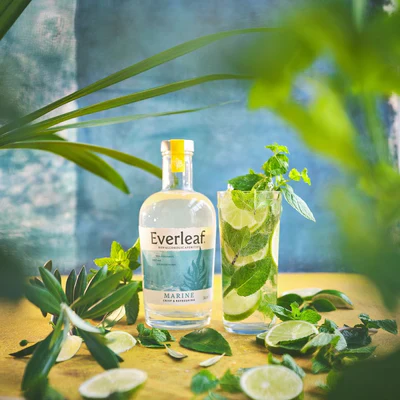 Nyd den perfekte blanding af syrlig lime, duftende mynte og perlende brus. En alkoholfri klassiker, der altid hitter.

Glas: [https://www.hjhansen-vin.dk/vinglas-tilbehoer/alle-riedelprodukter/bar-collection/highball-drinks-specifik-glasserie-6417-04-2-pack|Riedel Highball Bar Glas]