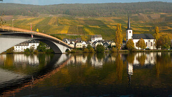 Billede af den tyske producent Weingut Reinhold Haart's marker