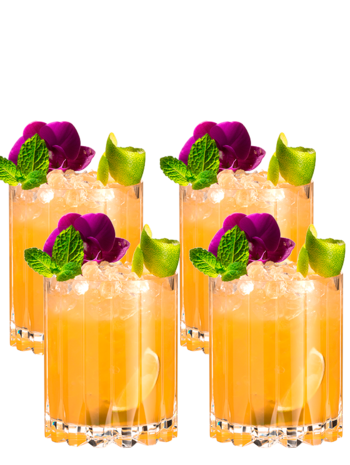 Riedel Drinks Specifik Glasserie, Double Rocks Value Set 5417/07 – 4 glas