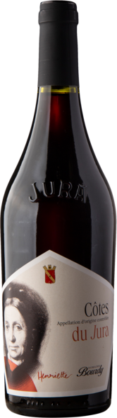 2022 Côtes du Jura Rouge Organic, AOC