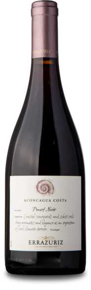 2021 Pinot Noir, Aconcagua Costa
