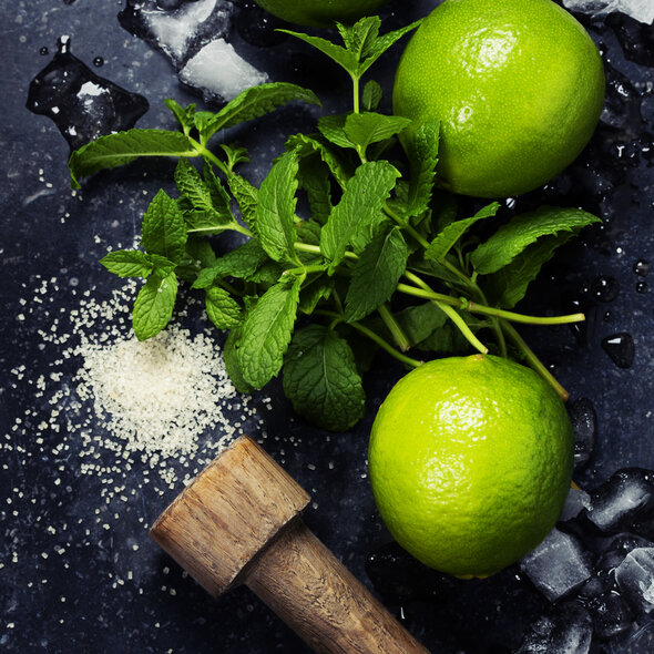 Nonino Spirit Brand,  Distiller of the Year 