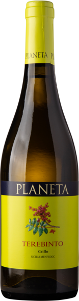 2024 Terebinto Organic, DOC