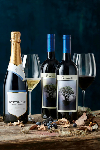 Den Stilsikre Vingave