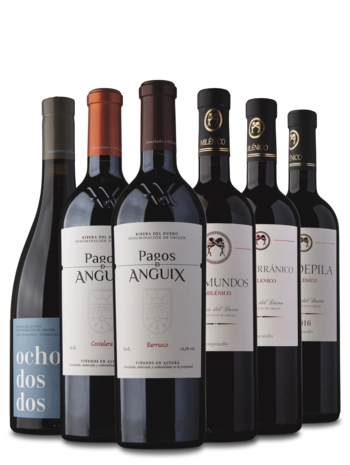 Smagekasse Ribera del Duero