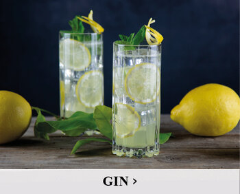 GIN