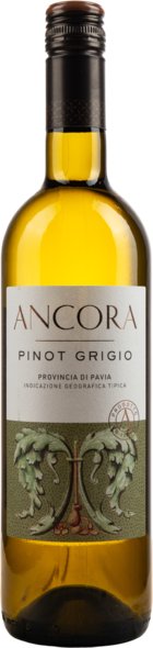 2025 Pinot Grigio, IGT
