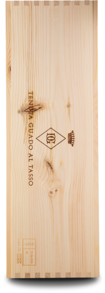 2023 Guado al Tasso Bolgheri Superiore, D.O.C., 300 cl