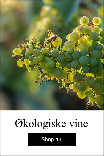 Økologiske vine