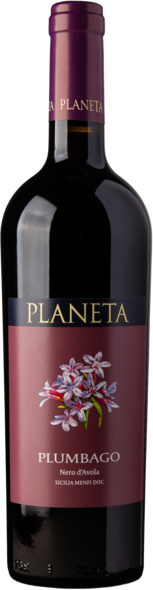 2022 Plumbago Nero d'Avola, Menfi DOC