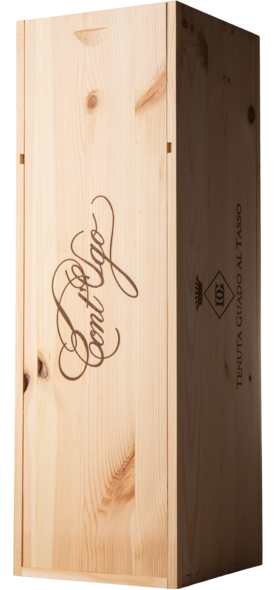 2021 Cont Ugo Bolgheri, D.O.C., 300 cl