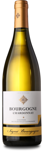 2023 Chardonnay, Bourgogne AOP