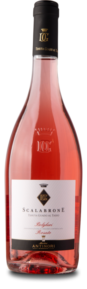 2024 Scalabrone, Bolgheri Rosato D.O.C.
